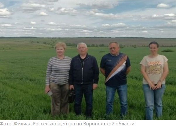 Органический овес и тыкву проверили в хозяйстве воронежского фермера