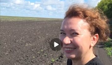 Показываем как в органическом земледелии борются с сорняками без применения гербицидов