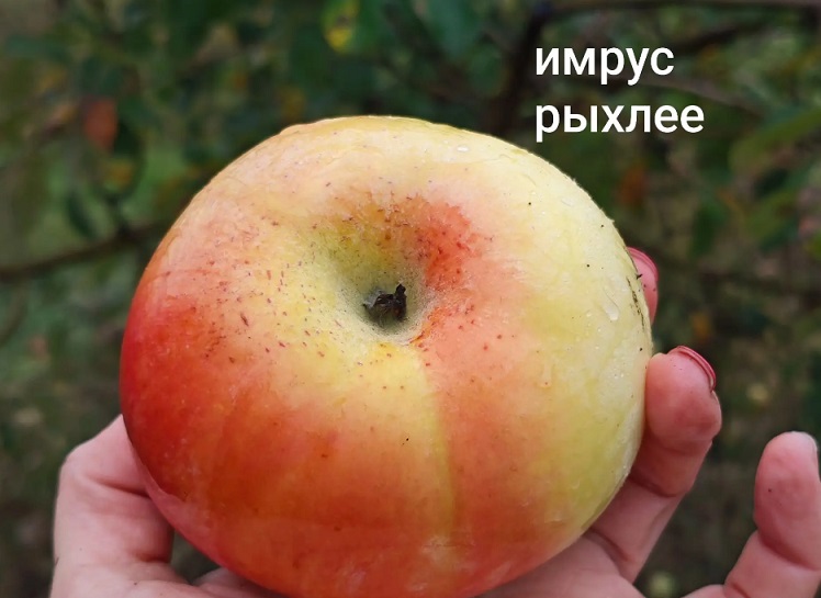 На обучение к Алексею Штанову приехали сельхозпроизводители из восьми регионов России