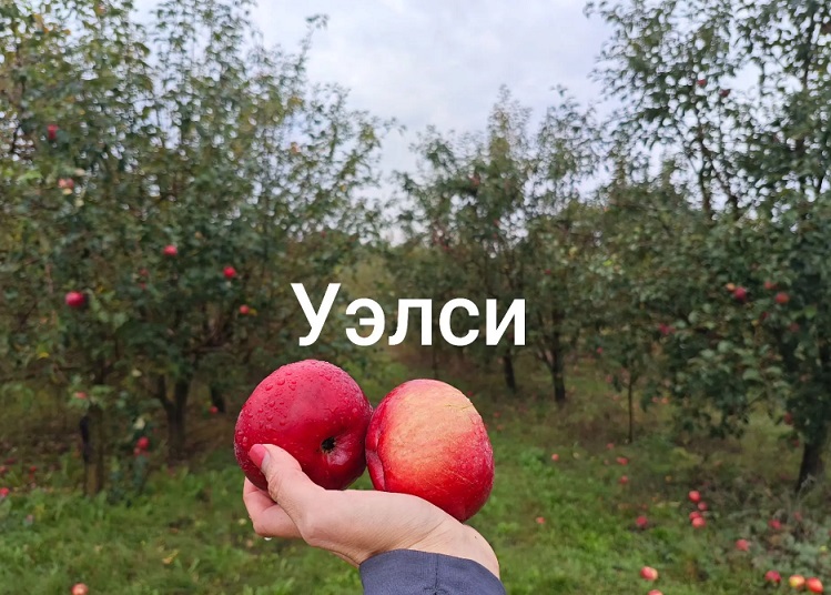 На обучение к Алексею Штанову приехали сельхозпроизводители из восьми регионов России