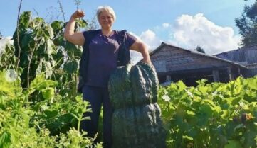 Когда Матушка-Земля отвечает взаимностью: Самые большие в стране кабачок и тыкву вырастили в Псковской области