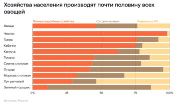Больше половины картофеля в стране выращивают на личных участках