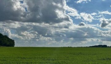 Сильнейшее загрязнение почвы пестицидами обнаружено в Орловской области